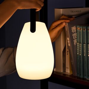 Lanterne Led Portable avec télécommande en 8/16 couleurs, luminaire décoratif d'intérieur, idéal pour une chambre à coucher ou un Camping 2